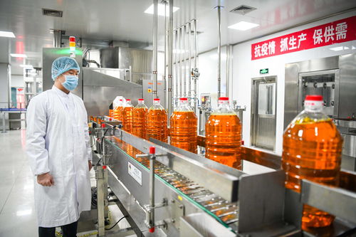 在高水平開(kāi)放中邁向振興 外資加大投資東北現(xiàn)象觀察與油脂產(chǎn)業(yè)發(fā)展新機(jī)遇